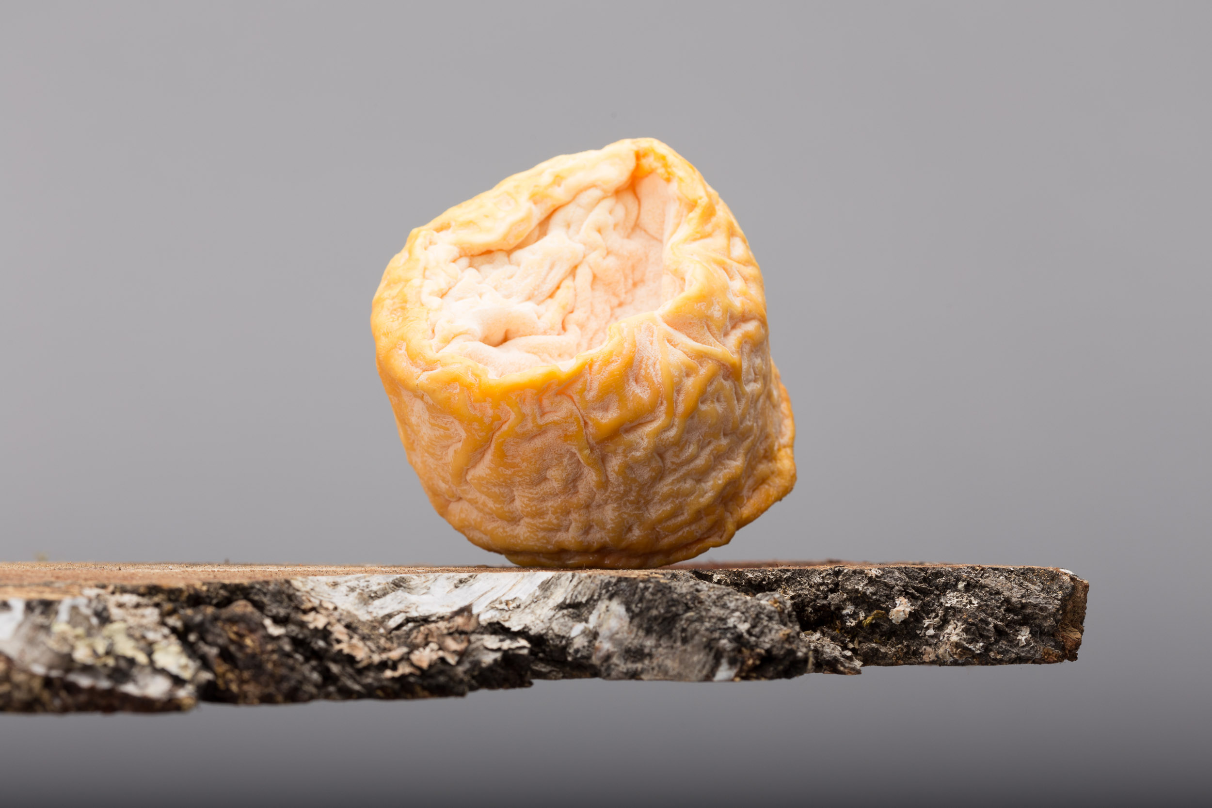 Le Langres, au creux des saveurs champenoises