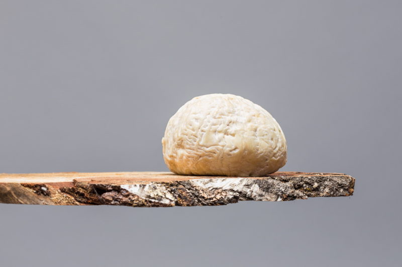 Le Gaperon d'Auvergne - Fromage fermier