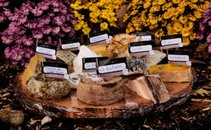 Plateau de fromage de Noël